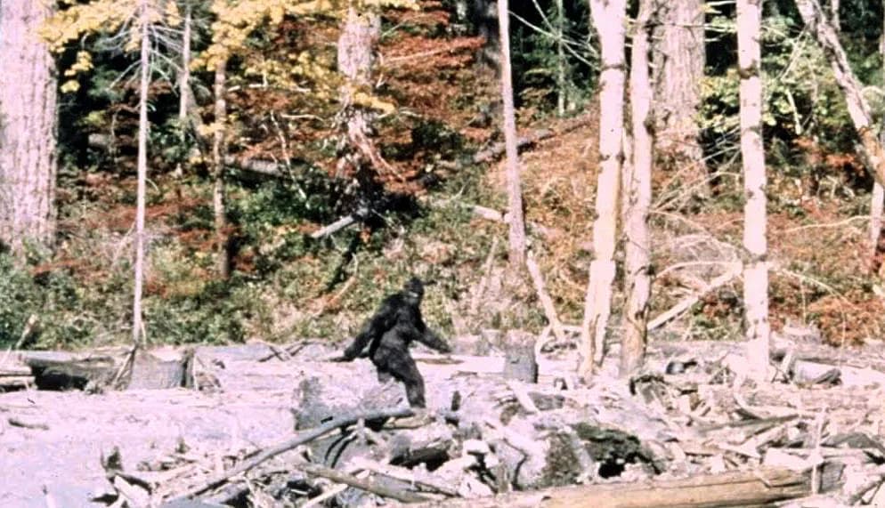 Patterson-Gimlin Film