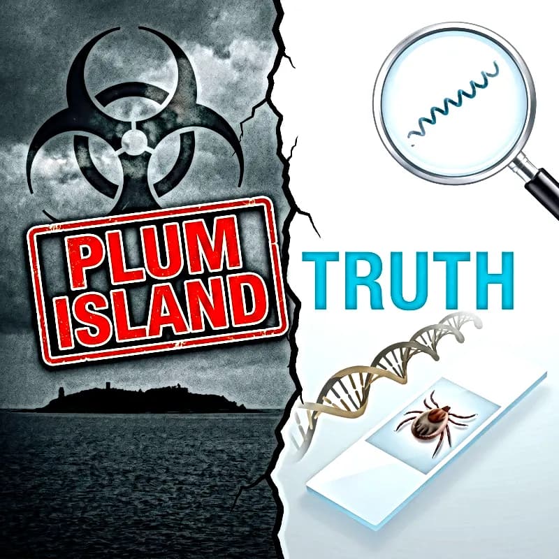 Plum-Island Gpt image