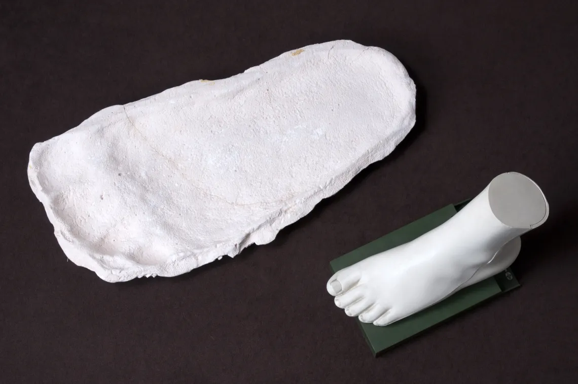 Tracking the Legend of Bigfoot