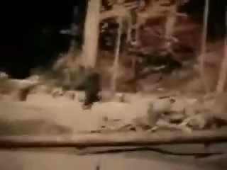 Patterson-Gimlin Film