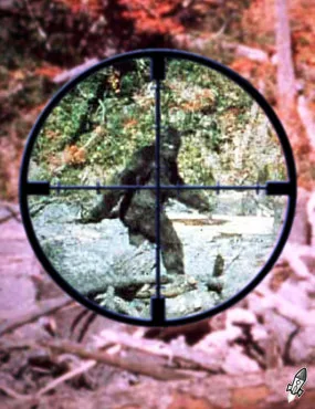 Skamania Ordinance 69-01