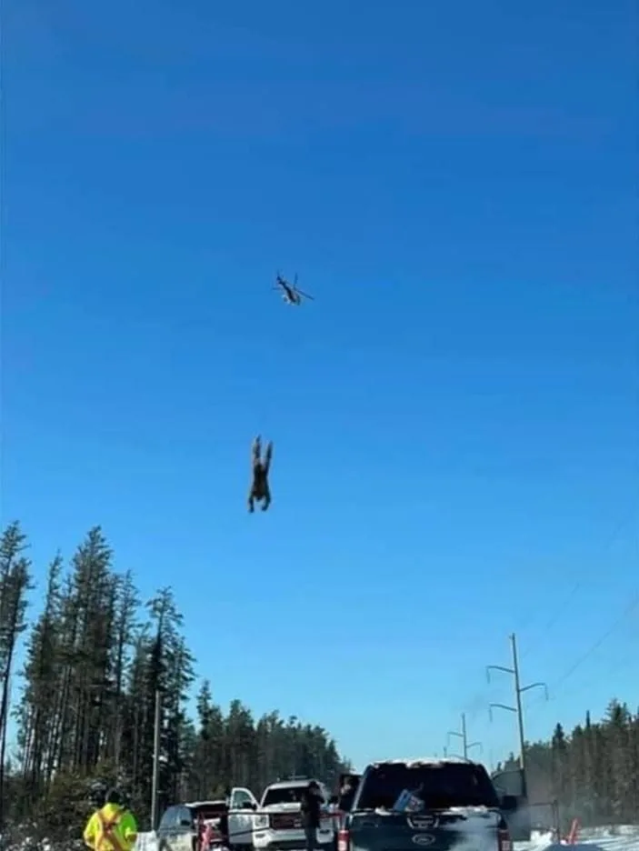 Mount St. Helens Erupts
